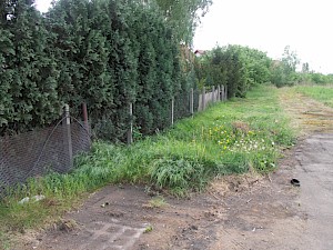 Border Fence in Buckow